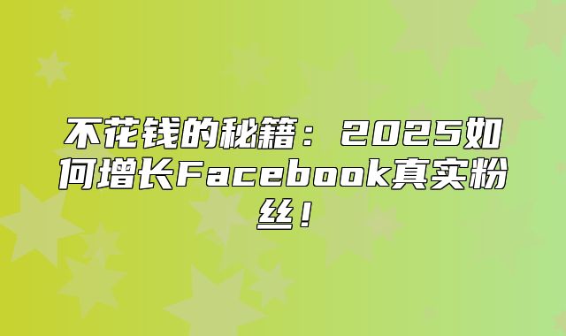不花钱的秘籍：2025如何增长Facebook真实粉丝！