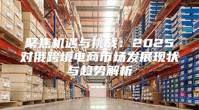 聚焦机遇与挑战：2025对俄跨境电商市场发展现状与趋势解析