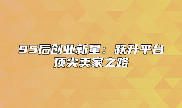 95后创业新星：跃升平台顶尖卖家之路