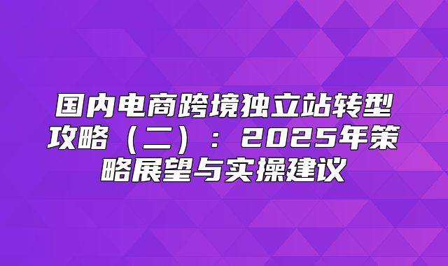 国内电商跨境独立站转型攻略二：2025年策略展望与实操建议