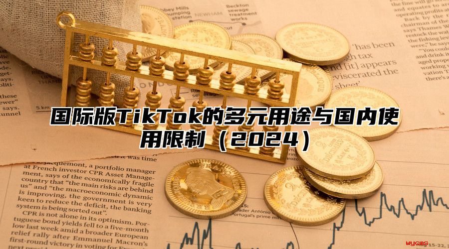 国际版TikTok的多元用途与国内使用限制2025