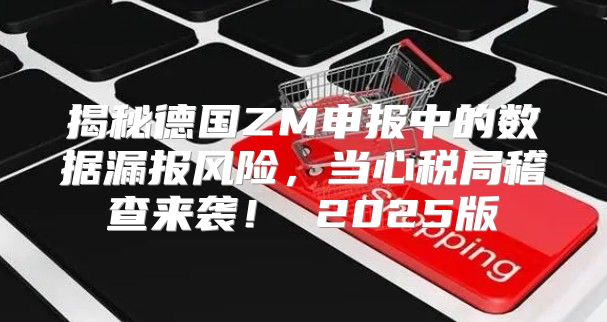 揭秘德国ZM申报中的数据漏报风险，当心税局稽查来袭！ 2025版
