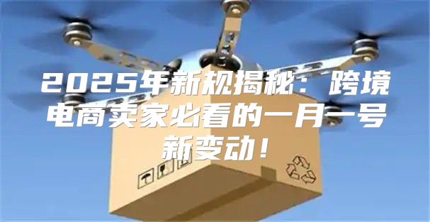 2025年新规揭秘：跨境电商卖家必看的一月一号新变动！