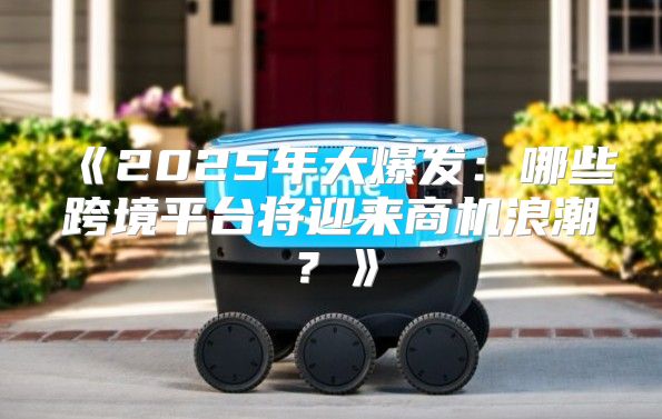 2025年大爆发：哪些跨境平台将迎来商机浪潮？