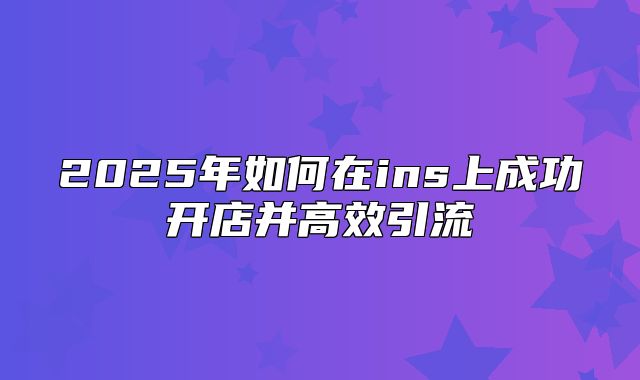 2025年如何在ins上成功开店并高效引流