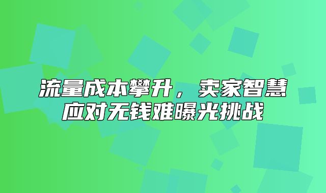 流量成本攀升，卖家智慧应对无钱难曝光挑战