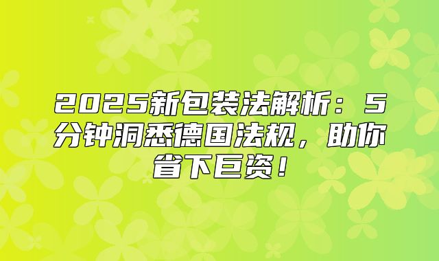 2025新包装法解析：5分钟洞悉德国法规，助你省下巨资！