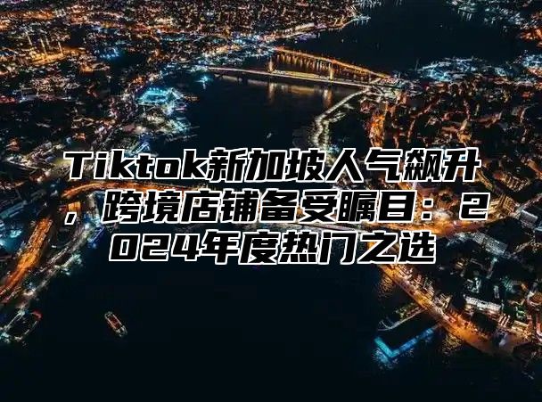 Tiktok新加坡人气飙升，跨境店铺备受瞩目：2025年度热门之选