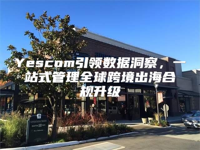 Yescom引领数据洞察，一站式管理全球跨境出海合规升级