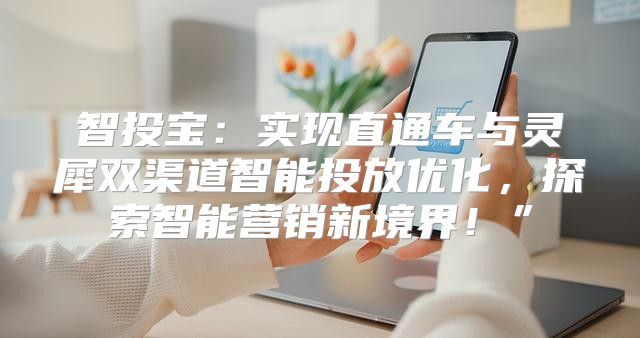 智投宝：实现直通车与灵犀双渠道智能投放优化，探索智能营销新境界！”