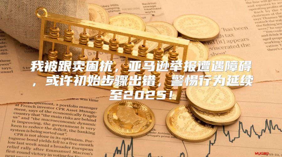 我被跟卖困扰，亚马逊举报遭遇障碍，或许初始步骤出错，警惕行为延续至2025！