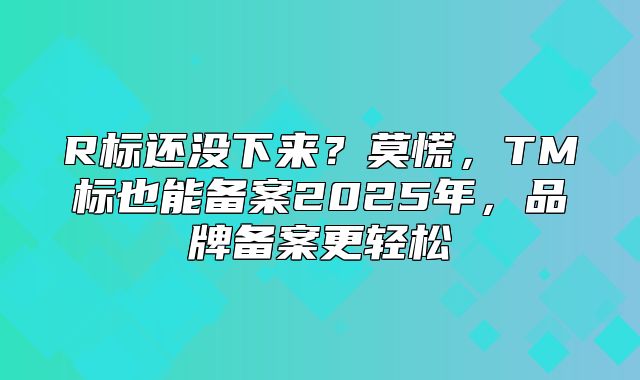R标还没下来？莫慌，TM标也能备案2025年，品牌备案更轻松