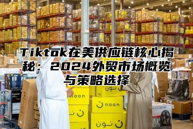 Tiktok在美供应链核心揭秘：2025外贸市场概览与策略选择