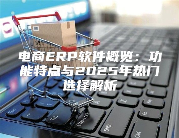 电商ERP软件概览：功能特点与2025年热门选择解析