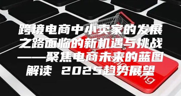 跨境电商中小卖家的发展之路面临的新机遇与挑战——聚焦电商未来的蓝图解读 2025趋势展望