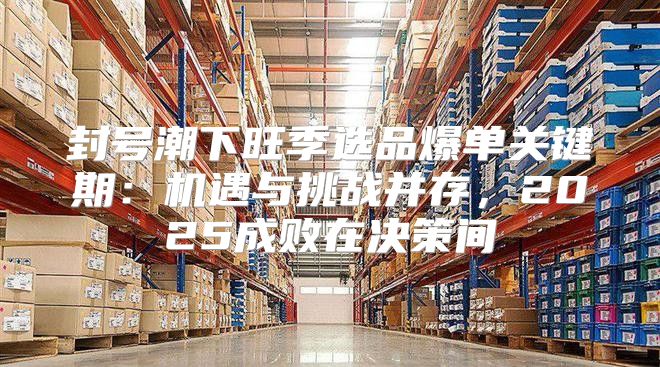 封号潮下旺季选品爆单关键期：机遇与挑战并存，2025成败在决策间