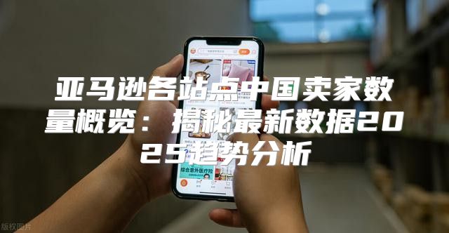 亚马逊各站点中国卖家数量概览：揭秘最新数据2025趋势分析