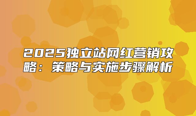 2025独立站网红营销攻略：策略与实施步骤解析