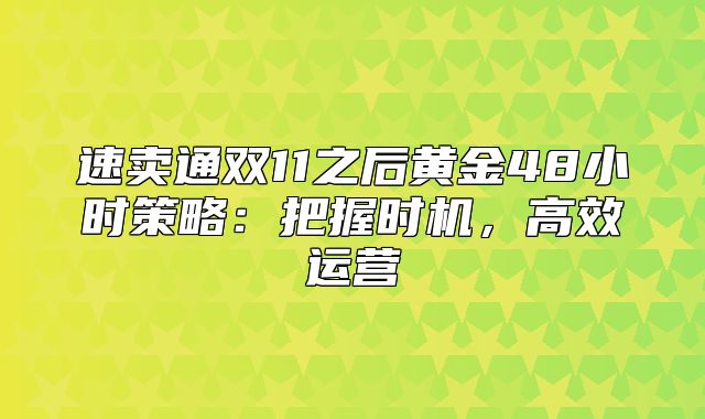 速卖通双11之后黄金48小时策略：把握时机，高效运营