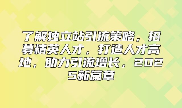 了解独立站引流策略，招募精英人才，打造人才高地，助力引流增长，2025新篇章