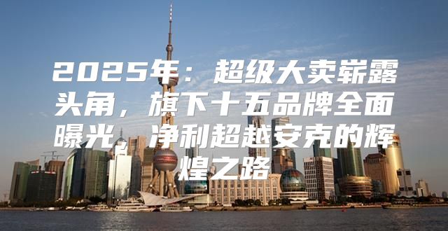 2025年：超级大卖崭露头角，旗下十五品牌全面曝光，净利超越安克的辉煌之路