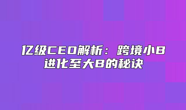 亿级CEO解析：跨境小B进化至大B的秘诀