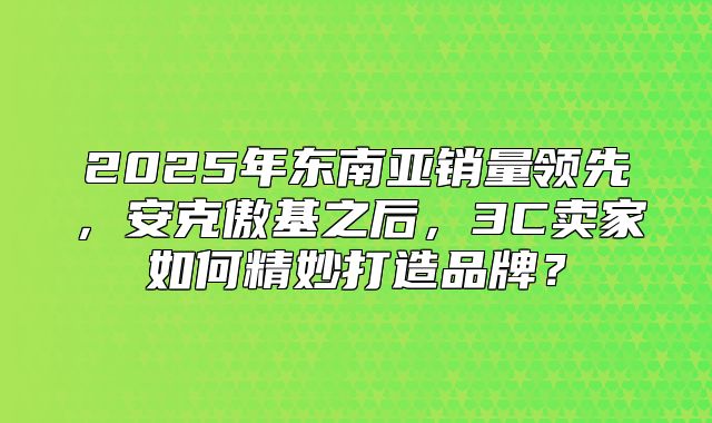 2025年东南亚销量领先，安克傲基之后，3C卖家如何精妙打造品牌？