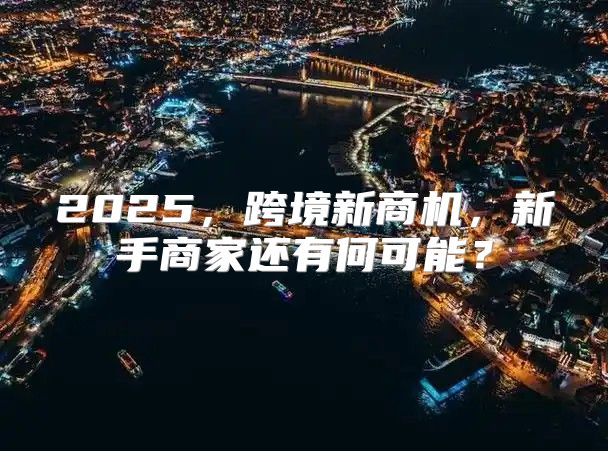 2025，跨境新商机，新手商家还有何可能？