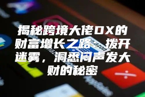 揭秘跨境大佬DX的财富增长之路：拨开迷雾，洞悉闷声发大财的秘密