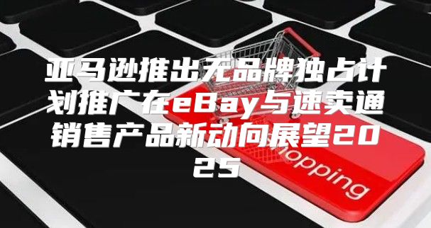 亚马逊推出无品牌独占计划推广在eBay与速卖通销售产品新动向展望2025