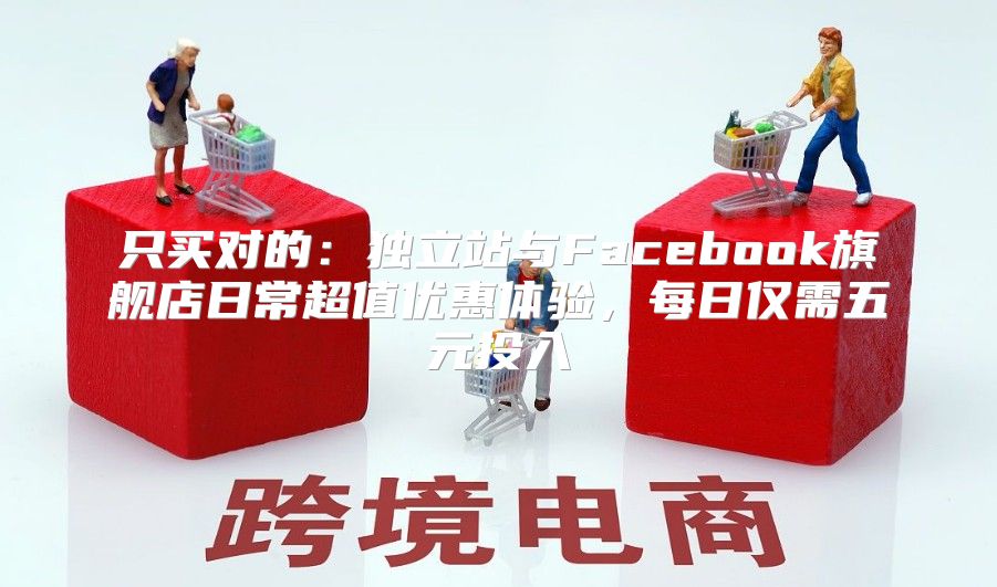 只买对的：独立站与Facebook旗舰店日常超值优惠体验，每日仅需五元投入