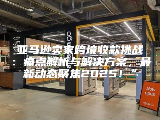 亚马逊卖家跨境收款挑战：痛点解析与解决方案，最新动态聚焦2025！”