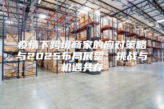 疫情下跨境商家的应对策略与2025布局展望：挑战与机遇共存