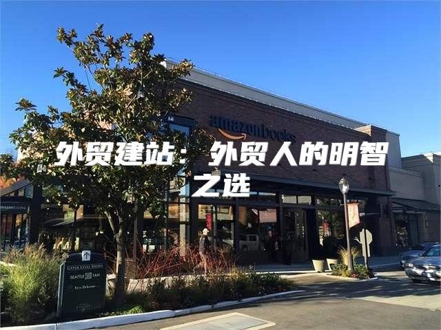 外贸建站：外贸人的明智之选