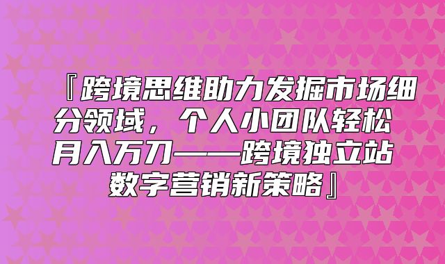 『跨境思维助力发掘市场细分领域，个人小团队轻松月入万刀——跨境独立站数字营销新策略』