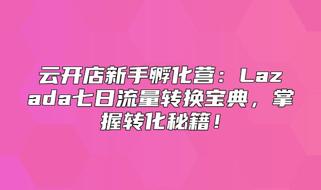 云开店新手孵化营：Lazada七日流量转换宝典，掌握转化秘籍！