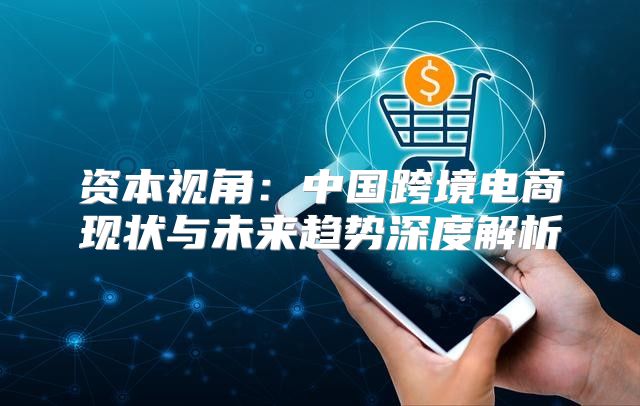 资本视角：中国跨境电商现状与未来趋势深度解析
