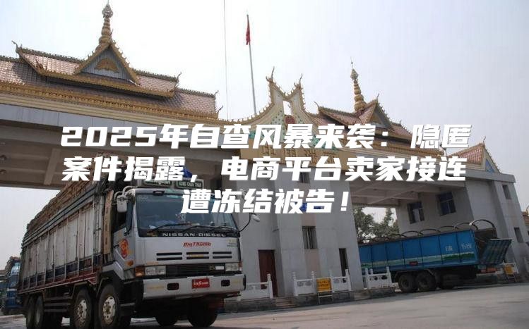 2025年自查风暴来袭：隐匿案件揭露，电商平台卖家接连遭冻结被告！
