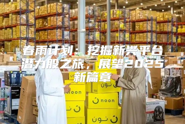 春雨计划：挖掘新兴平台潜力股之旅，展望2025新篇章