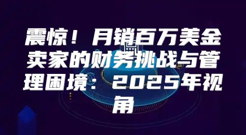 震惊！月销百万美金卖家的财务挑战与管理困境：2025年视角