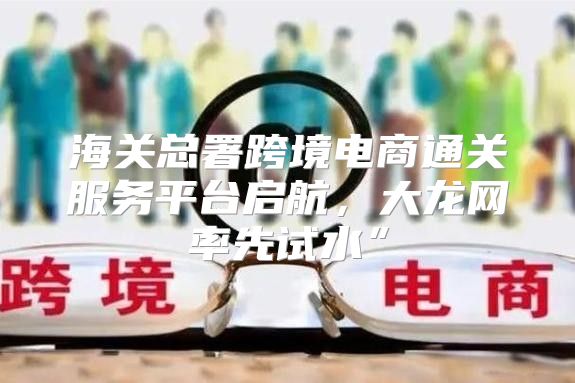 海关总署跨境电商通关服务平台启航，大龙网率先试水”