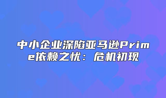 中小企业深陷亚马逊Prime依赖之忧：危机初现