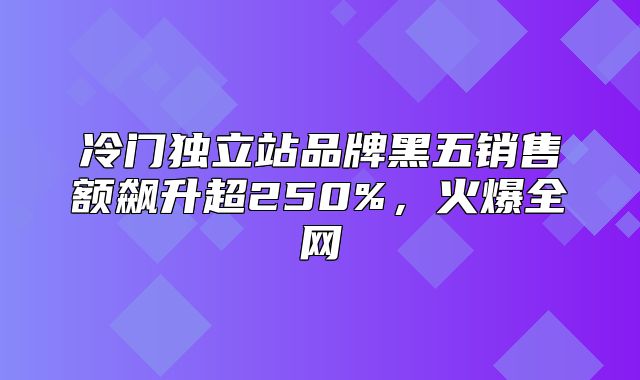 冷门独立站品牌黑五销售额飙升超250%，火爆全网