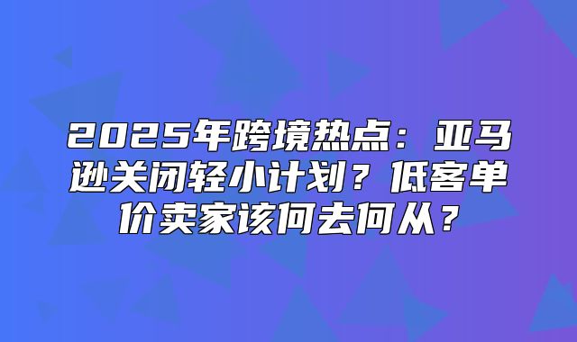 2025年跨境热点：亚马逊关闭轻小计划？低客单价卖家该何去何从？
