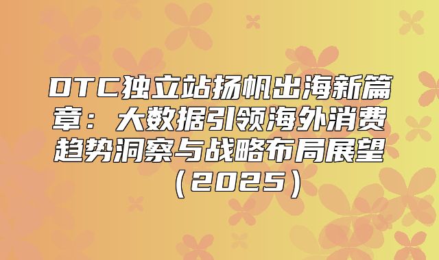 DTC独立站扬帆出海新篇章：大数据引领海外消费趋势洞察与战略布局展望2025