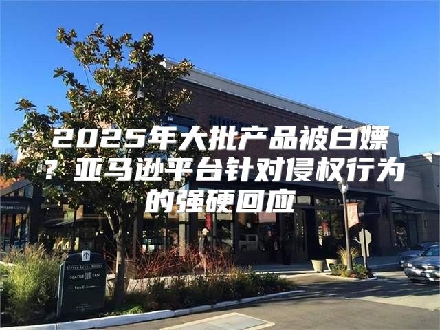 2025年大批产品被白嫖？亚马逊平台针对侵权行为的强硬回应