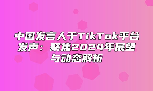 中国发言人于TikTok平台发声：聚焦2025年展望与动态解析