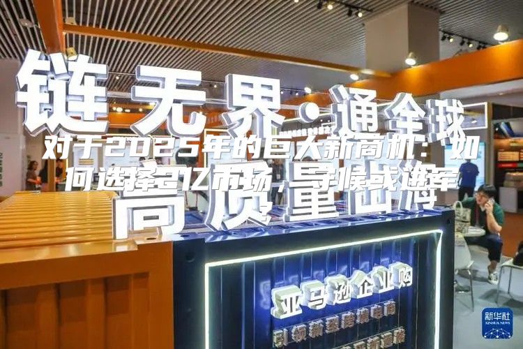 对于2025年的巨大新商机：如何选择2亿市场，守候或进军？