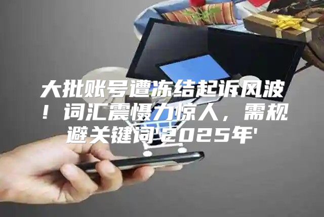 大批账号遭冻结起诉风波！词汇震慑力惊人，需规避关键词'2025年'
