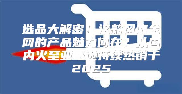 选品大解密！这款风靡全网的产品魅力何在？从国内火至亚马逊持续热销于2025